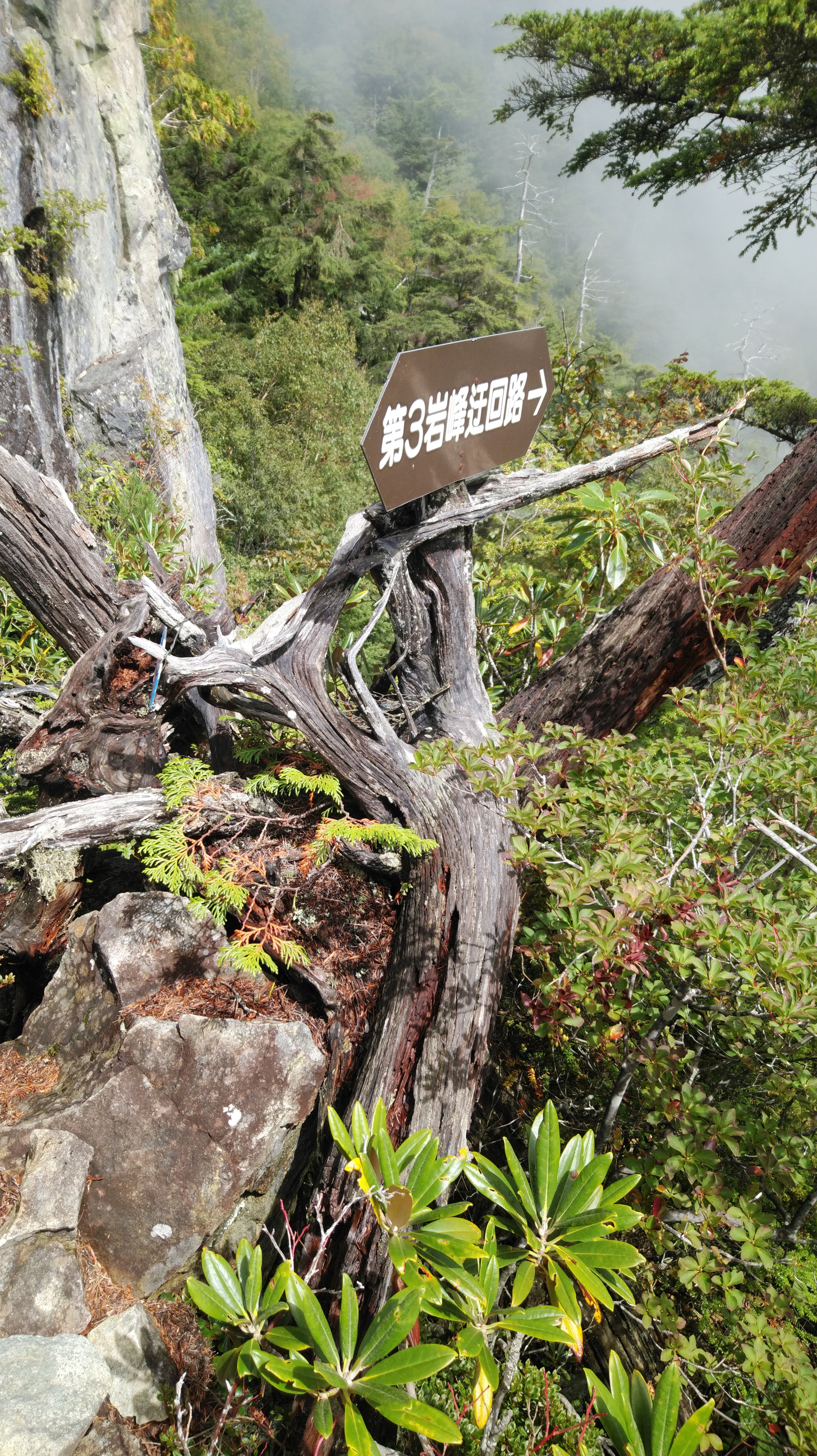 img_20180916_1032451