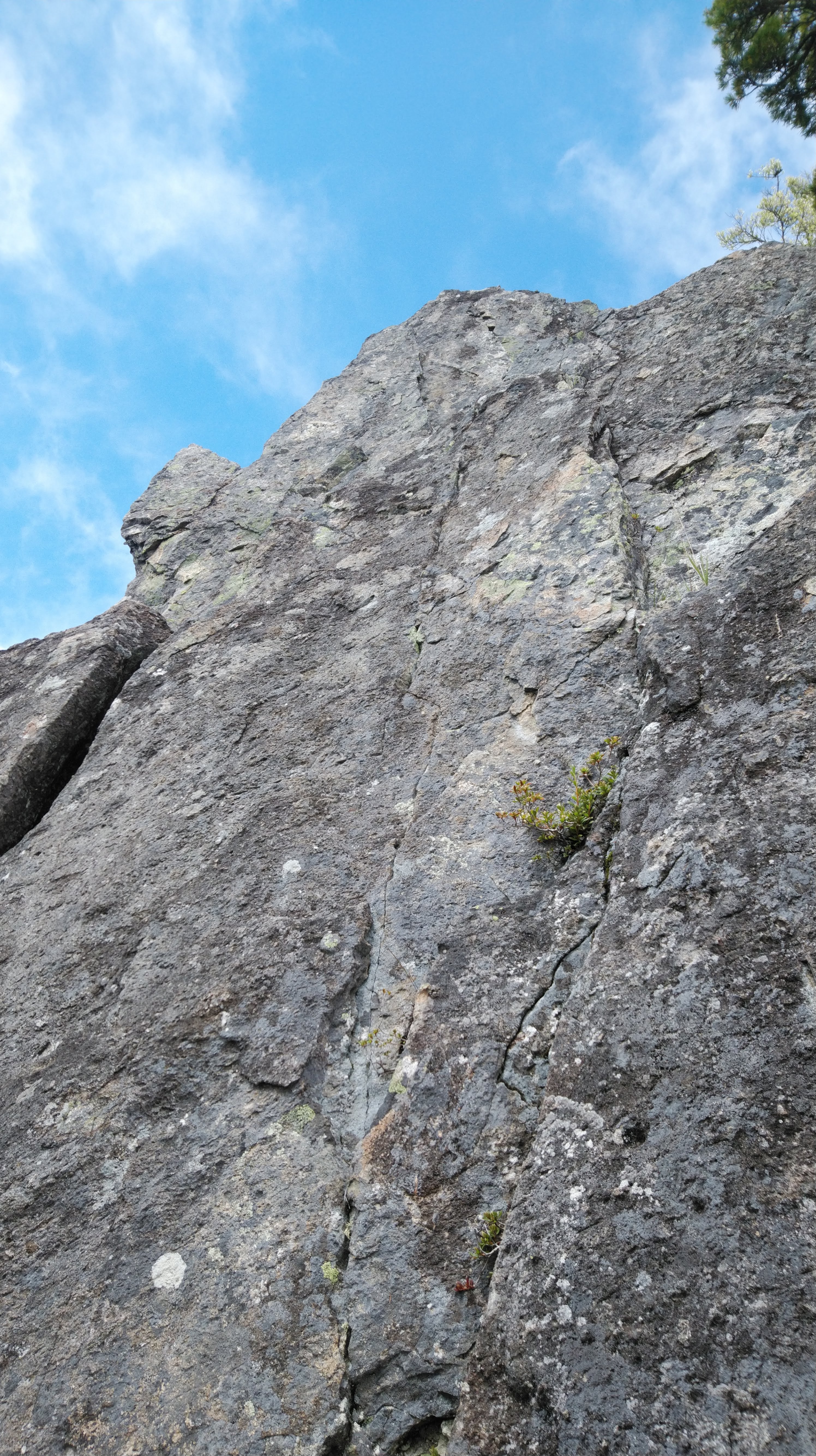 img_20180916_1035232