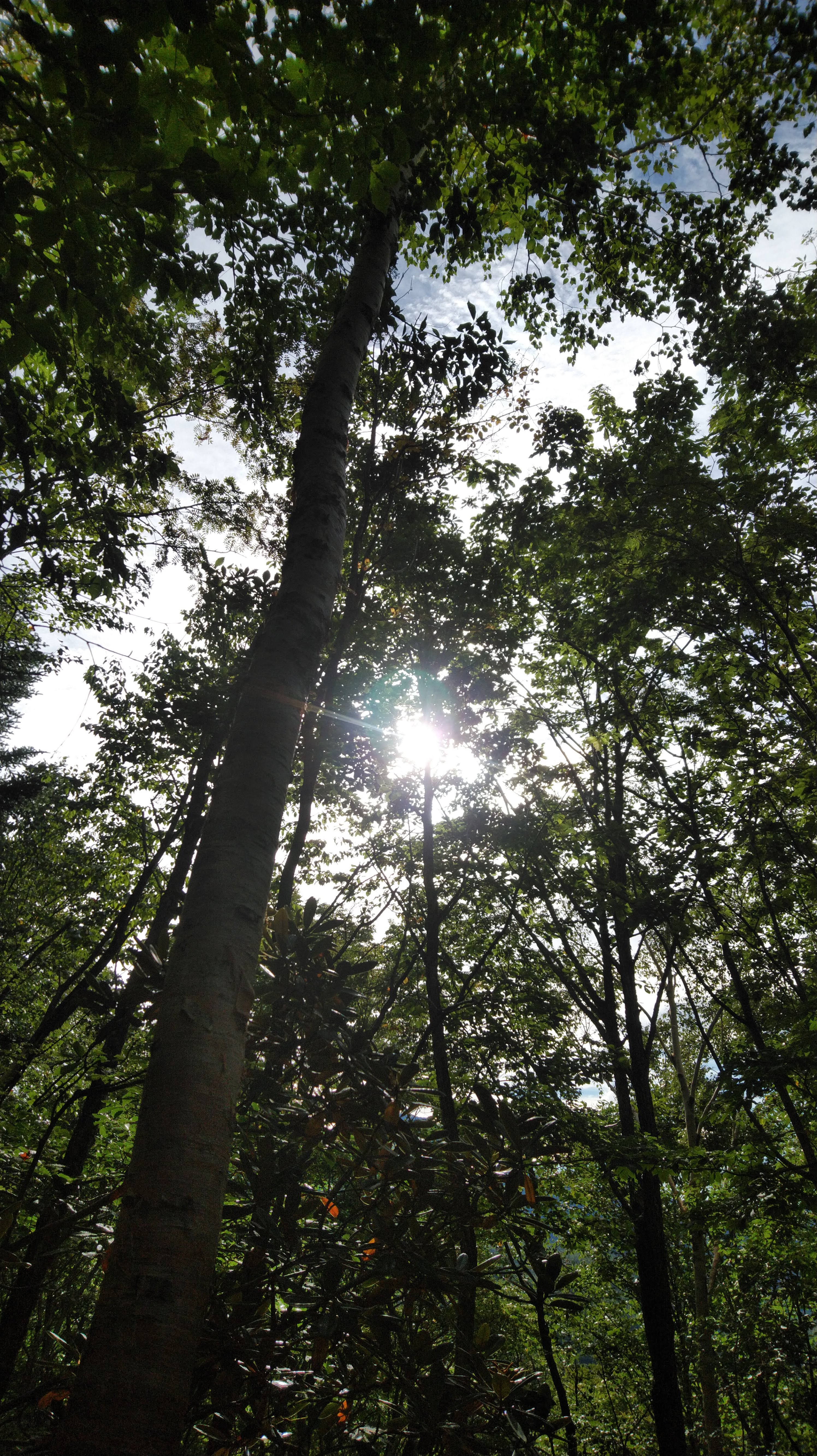 img_20180917_0739211