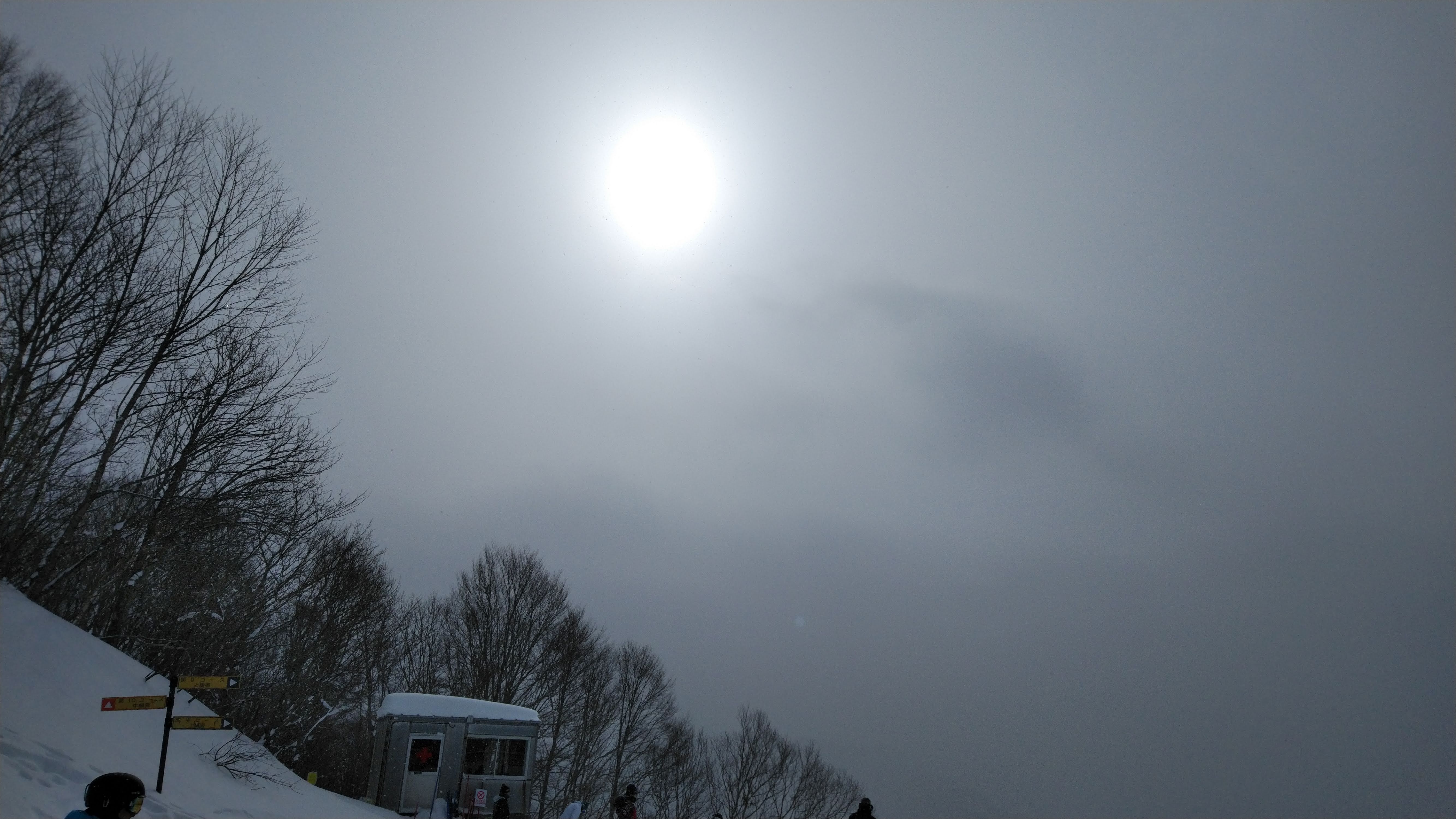 IMG_20190209_135221