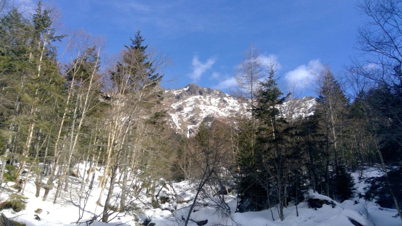 WIN_20190223_14_21_22_Pro