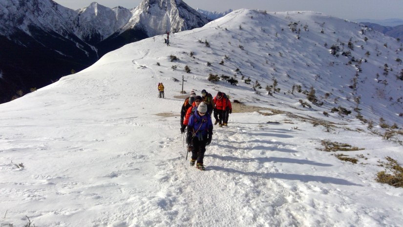 WIN_20190224_08_34_35_Pro